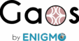 LOGO_gaos_enigmo